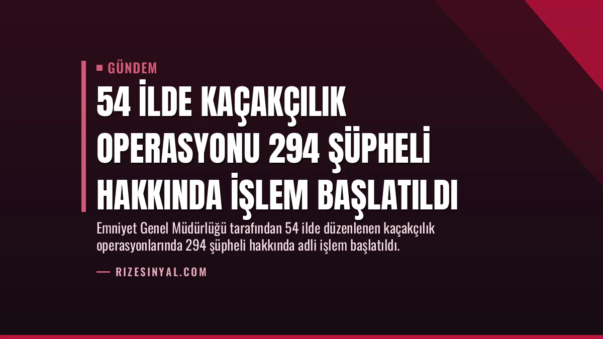 54 İlde Kaçakçılık Operasyonu 294 Şüpheli Hakkında İşlem Başlatıldı