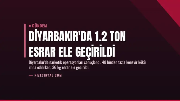 Diyarbakır’da 1.2 Ton Esrar Ele Geçirildi