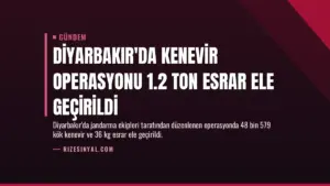 Diyarbakır’da Kenevir Operasyonu 1.2 Ton Esrar Ele Geçirildi