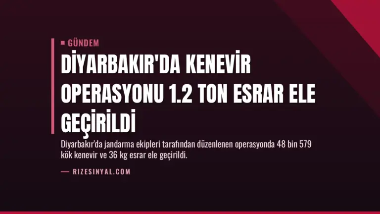 Diyarbakır’da Kenevir Operasyonu 1.2 Ton Esrar Ele Geçirildi