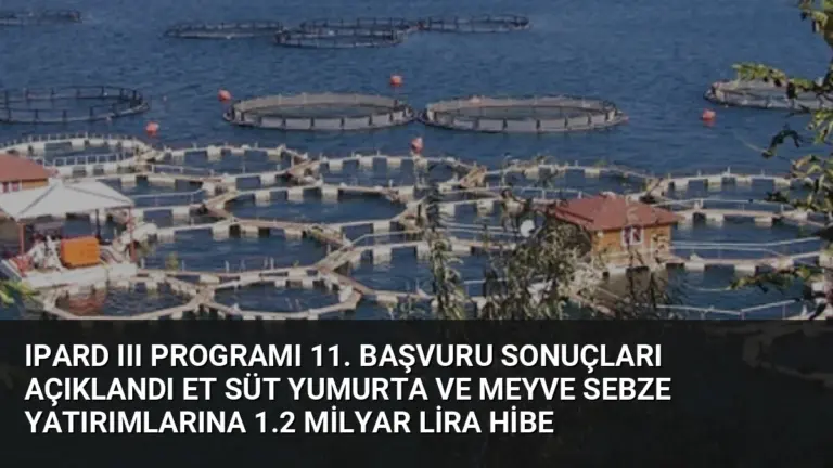 IPARD III Programı 11. Başvuru Sonuçları Açıklandı Et Süt Yumurta ve Meyve Sebze Yatırımlarına 1.2 Milyar Lira Hibe