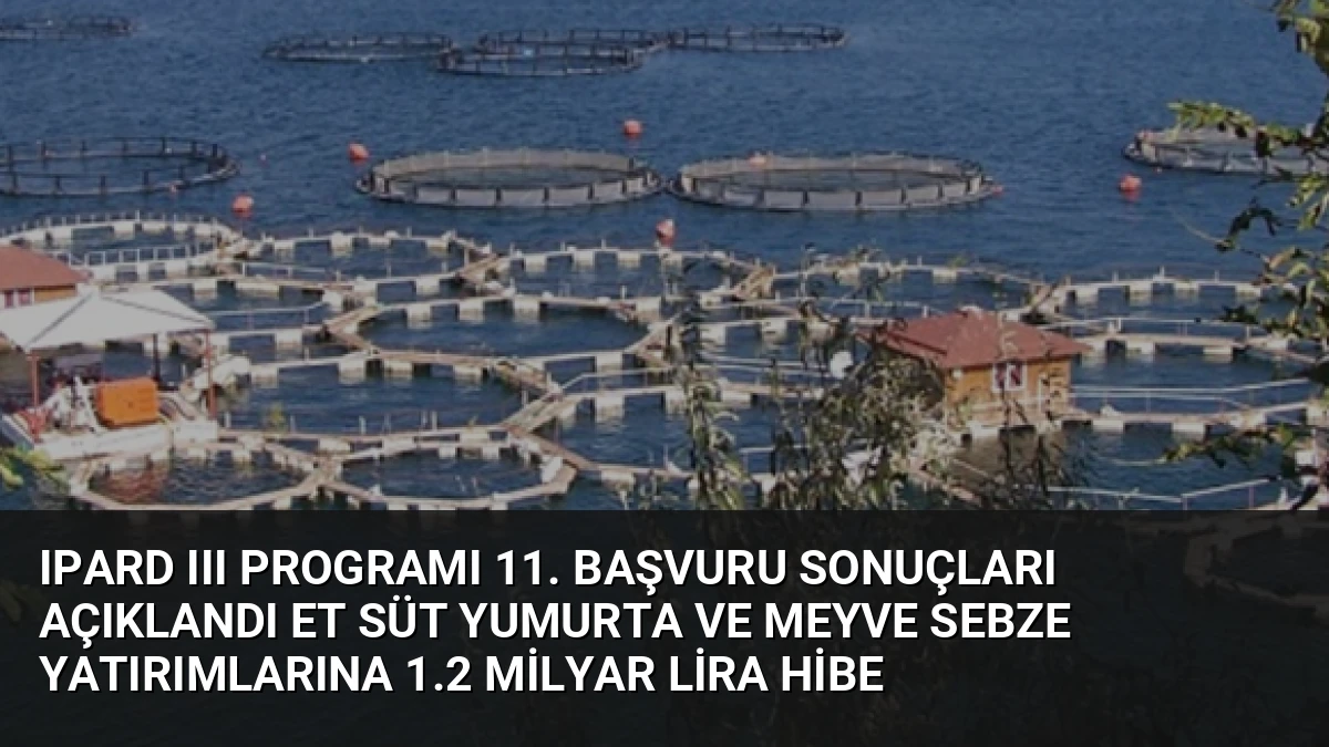 IPARD III Programı 11. Başvuru Sonuçları Açıklandı Et Süt Yumurta ve Meyve Sebze Yatırımlarına 1.2 Milyar Lira Hibe