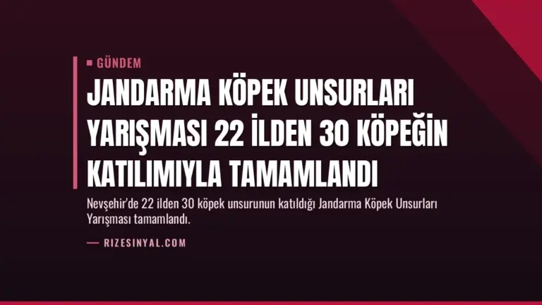 Jandarma Köpek Unsurları Yarışması 22 İlden 30 Köpeğin Katılımıyla Tamamlandı