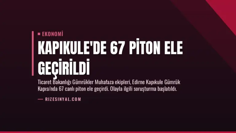 Kapıkule’de 67 Piton Ele Geçirildi