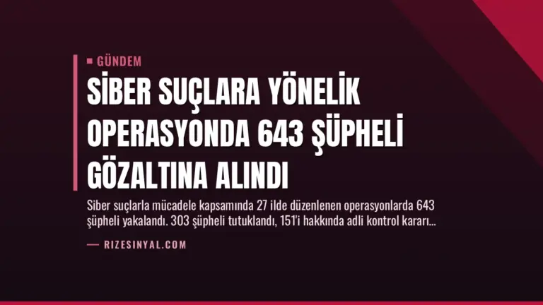 Siber Suçlara Yönelik Operasyonda 643 Şüpheli Gözaltına Alındı