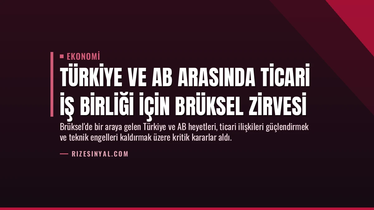 Türkiye ve AB Arasında Ticari İş Birliği İçin Brüksel Zirvesi