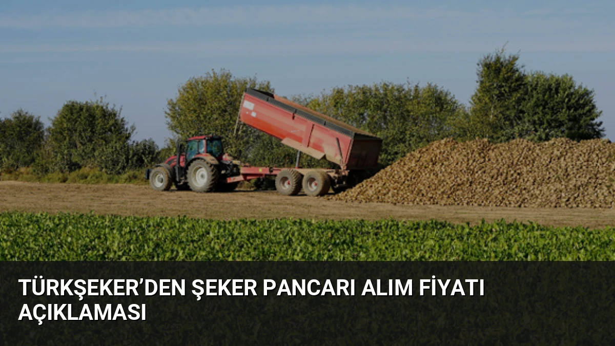 TÜRKŞEKER’den Şeker Pancarı Alım Fiyatı Açıklaması